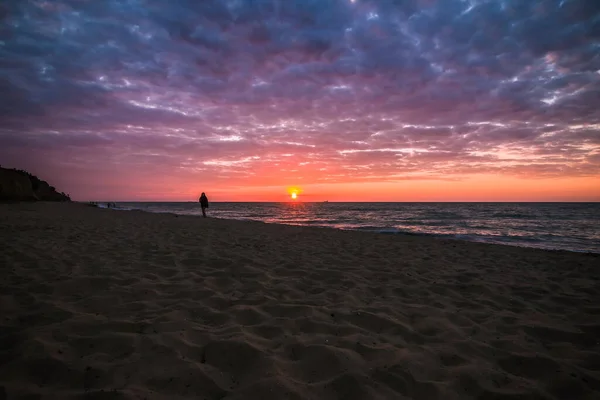 Прекрасный Восход Солнца Моря Облачное Утро Песчаный Берег Водорослями Черное — стоковое фото