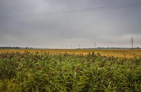 Elektrische Leidingen Het Veld Bij Bewolkt Weer Depressief Landschap Met — Stockfoto