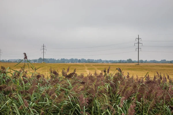 Elektrische Leidingen Het Veld Bij Bewolkt Weer Depressief Landschap Met — Stockfoto