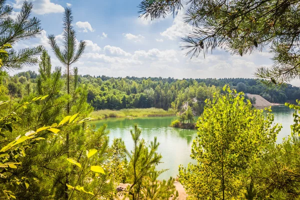 Eski bir bazalt taş ocağında pitoresk bir göl. Saf su ve harika doğa. Bazalt Sütunlar. Rivne Oblastı. Ukrayna