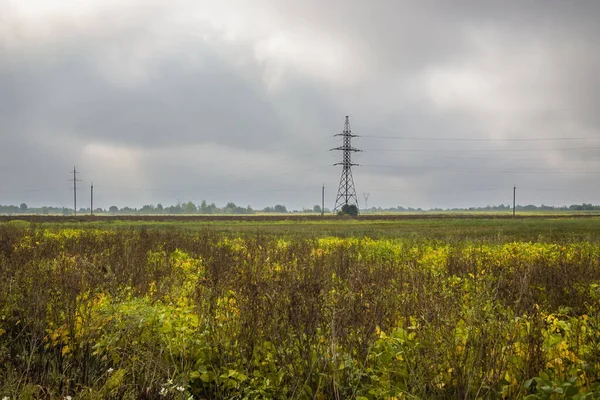 Elektrische Leidingen Het Veld Bij Bewolkt Weer Depressief Landschap Met — Stockfoto
