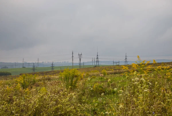 Elektrische Leidingen Het Veld Bij Bewolkt Weer Depressief Landschap Met — Stockfoto