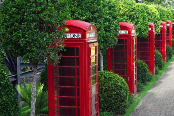 Muitos Tradicional Reino Unido Caixa Chamada Vermelha Jardim Ensolarado — Fotografia de Stock