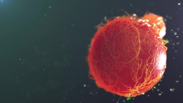 Κύτταρα Βακτήρια Φάρμακο Malecules Ιοί — Αρχείο Βίντεο