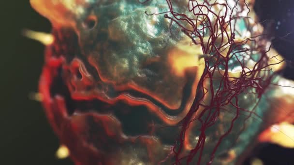 Células Bactérias Médico Médico Maléculas Vírus — Vídeo de Stock