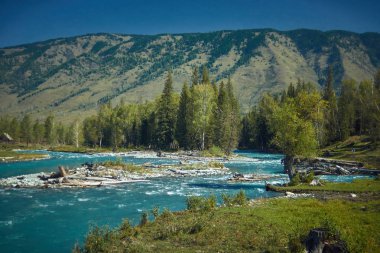  -Dağ altay Katun Nehri'nin ağzında                 