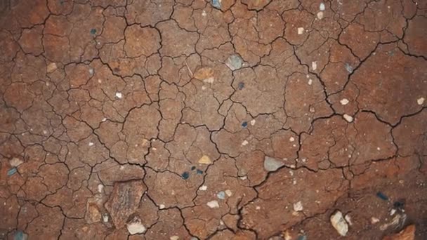 土纹理 干燥的土壤 — 图库视频影像