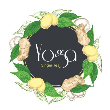 Vektör yuvarlak çerçeve taze zencefil kökü ve zencefil yaprakları ile çizilmiş. Elle çizilmiş botanik kroki tarzı. Kumaş için çizilmiş Eko tasarım el ve şal kağıt, ambalaj-çay, petrol, kozmetik vb..