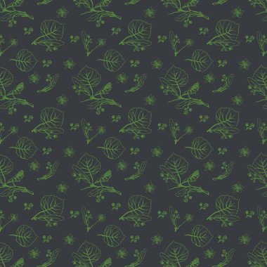 Vektör ile ıhlamur çiçek çiçek seamless modeli. Kumaş için çizilmiş Eko tasarım el ve şal kağıt, ambalaj-çay, petrol, kozmetik vb..