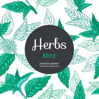 Vektör çiçek seamless modeli nane çiçekli. Nane el sketch vektör çizim. Kumaş için çizilmiş Eko tasarım el ve şal kağıt, ambalaj-çay, petrol, kozmetik vb..