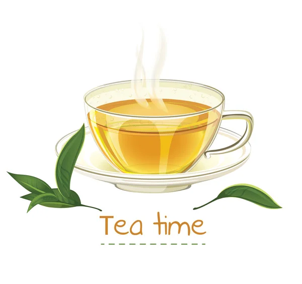 Hand Gezogene Tasse Grünen Tee — Stockvektor