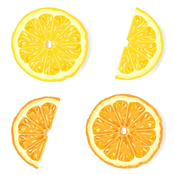 Vektor Citrus Szeletek Felülnézet Reális Vektor — Stock Vector