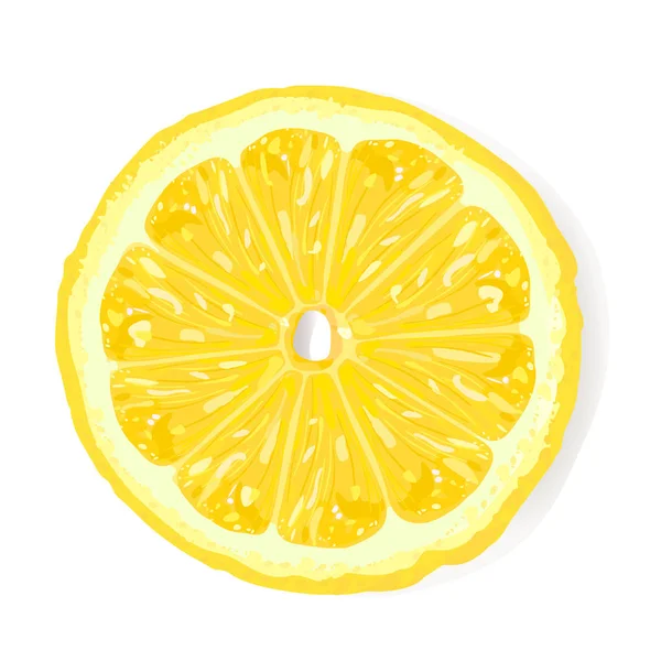 Lemon Slice Pemandangan Atas Vektor Realistis - Stok Vektor
