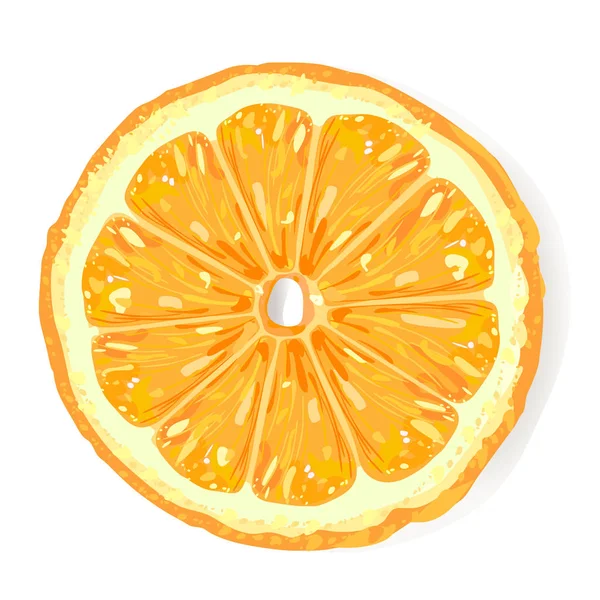 Orange Slice Top View Realistic Vector — Stock Vector