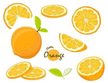 elle çizilmiş portakal koleksiyonu, narenciye arka plan