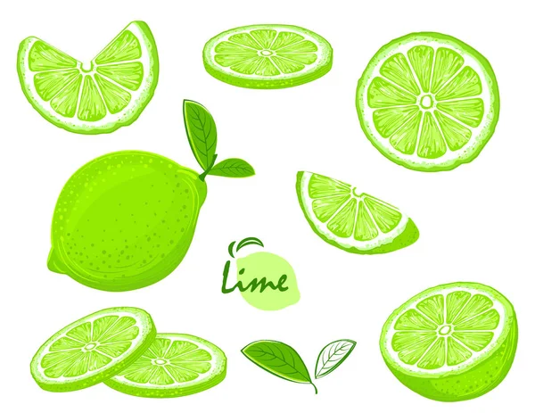 Ruky Nakreslené Limety Vzorek Citrusové Pozadí — Stockový vektor