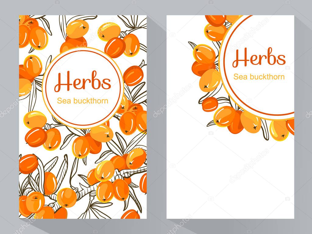 creative business brochure template with sea-buckthorn berries, vector illustration