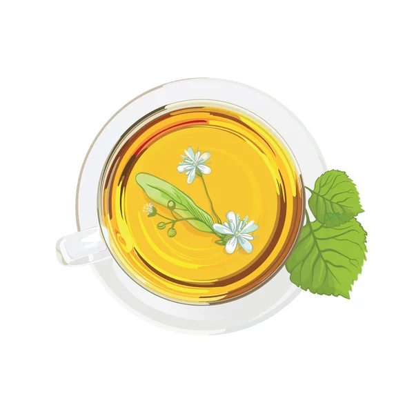 Kézzel Rajzolt Csésze Linden Tea Vektor — Stock Vector