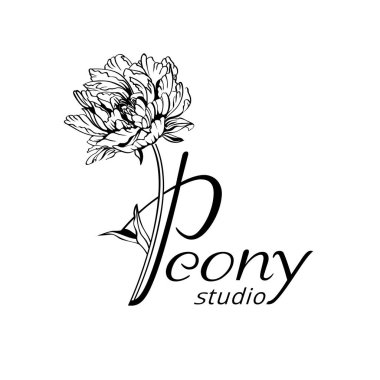 Flyer şablonu Şakayık Çiçeği logosu, vektör çizim ile