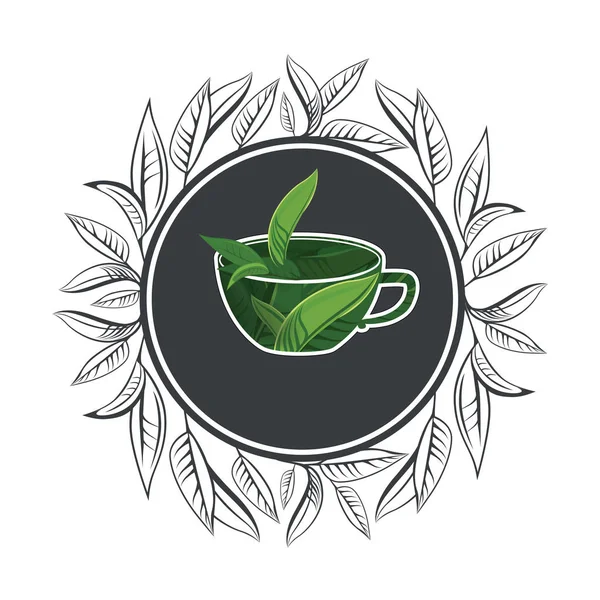 Armação Redonda Folhas Chá Verde Logotipo Chá Ervas — Fotografia de Stock