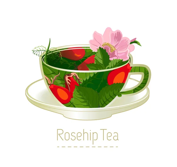 Taza Dibujada Mano Rosa Mosqueta — Vector de stock