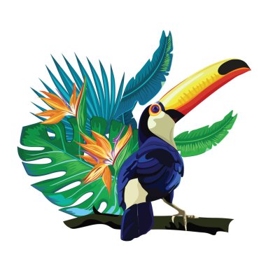Toucan kuş ve parlak tropik bitkiler, vektör çizim