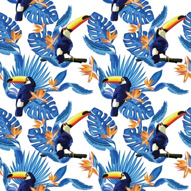 Toucan kuşlar ve mavi tropikal yaprak desen, vektör çizim
