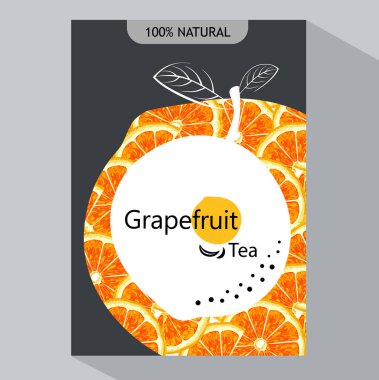 yaratıcı iş broşür şablonu greyfurt, vektör çizim ile