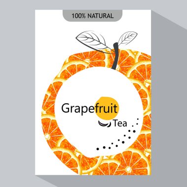 yaratıcı iş broşür şablonu greyfurt, vektör çizim ile