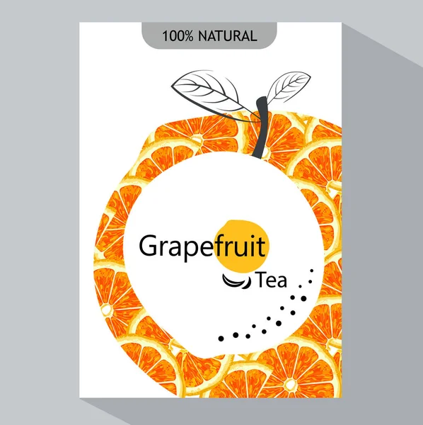 yaratıcı iş broşür şablonu greyfurt, vektör çizim ile