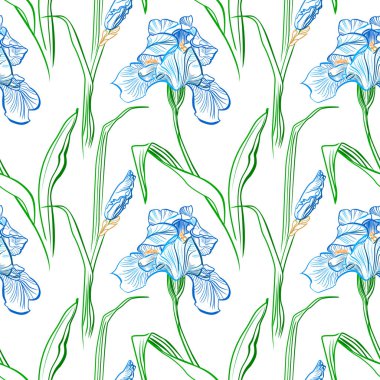 Arka plan botanik doku Iris çiçek vektör seamless modeli çiçekli