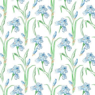 Arka plan botanik doku Iris çiçek vektör seamless modeli çiçekli