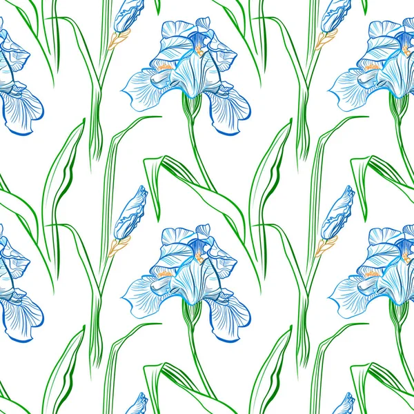 Iris Květiny Vektor Bezešvé Vzor Květovaný Pozadí Textury Botaniky — Stockový vektor