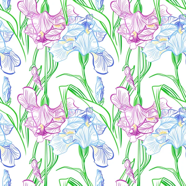 Iris Květiny Vektor Bezešvé Vzor Květovaný Pozadí Textury Botaniky — Stockový vektor