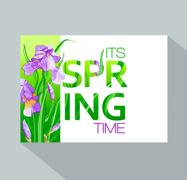 菖蒲の花を持つ 春の時代背景 春のプラカード ポスター チラシ バナーの招待カード — ストックベクタ