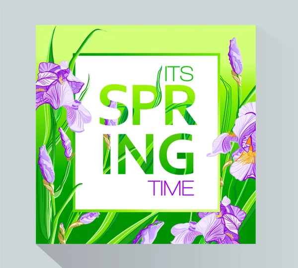 菖蒲の花を持つ 春の時代背景 春のプラカード ポスター チラシ バナーの招待カード — ストックベクタ