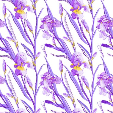 Çiçek desenli Iris çiçekli. Sorunsuz vektör desen renkli iris çiçekli.