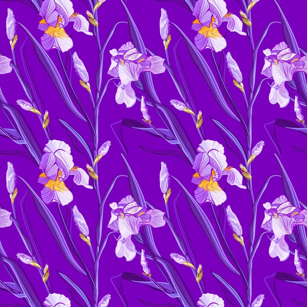 Květinový Vzor Květy Iris Bezešvá Vektorová Vzor Květy Barevné Iris — Stockový vektor