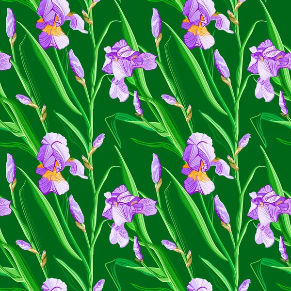Blumenmuster Mit Irisblüten Nahtloses Vektormuster Mit Bunten Irisblüten — Stockvektor