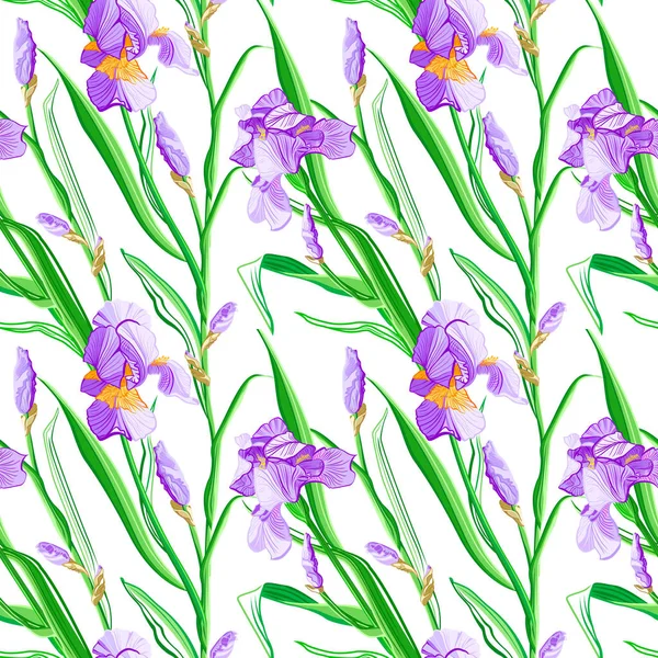 Motif Floral Avec Des Fleurs Iris Modèle Vectoriel Sans Couture — Image vectorielle