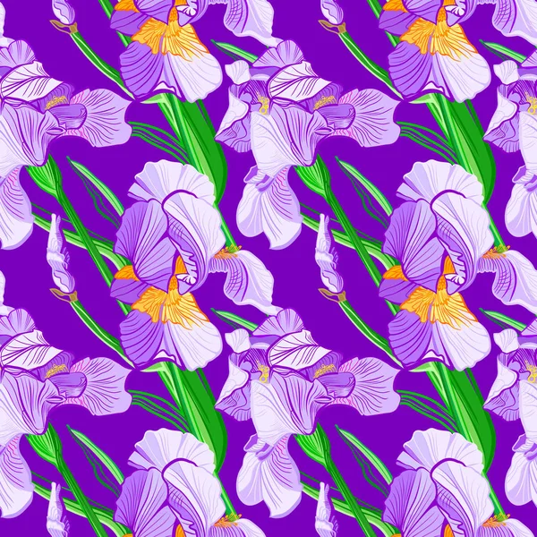 Motif Floral Avec Des Fleurs Iris Modèle Vectoriel Sans Couture — Image vectorielle