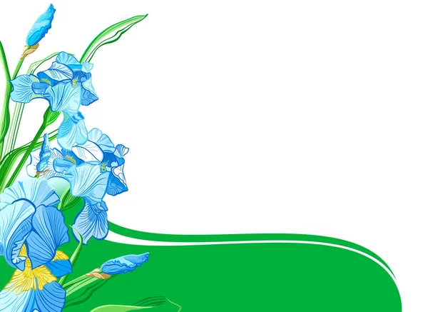 Rama Kwiatów Irysów Kolor Szkicu Afisz Plakat Ulotki Baner Zaproszenia — Zdjęcie stockowe