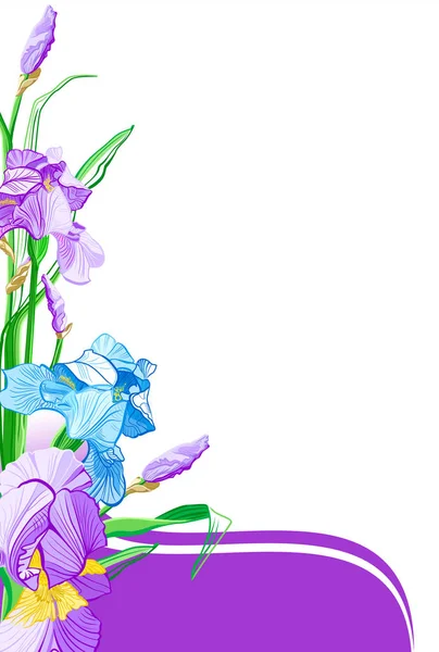 Рамка Квітів Ірисів Кольоровий Ескіз Плакат Плакат Флаєр Банер Запрошення — стокове фото