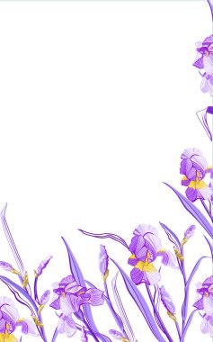 Iris çiçeklerle düğün davetiye kartı. Çiçek poster, davet. Dekoratif tebrik kartı veya davetiye tasarım arka plan