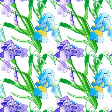 Çiçek seamless modeli. Çiçek Iris arka plan. Çiçekli çiçekli sorunsuz doku.