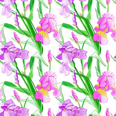 Çiçek seamless modeli. Çiçek Iris arka plan. Çiçekli çiçekli sorunsuz doku.