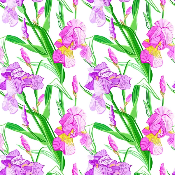 Motif Floral Sans Couture Fond Iris Fleur Texture Florale Sans — Image vectorielle