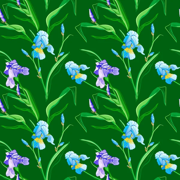 Kwiatowy Wzór Tło Irys Kwiat Kwiatowy Tekstura Kwiatami — Wektor stockowy