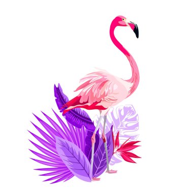 Pembe flamingo, tropik çiçekler ile tropikal yaz düzenlemeler, palmiye yaprakları, orman bitki, ebegümeci, cennet kuşu çiçeği. Güzel beyaz arka plan üzerinde çiçek egzotik illüstrasyon izole