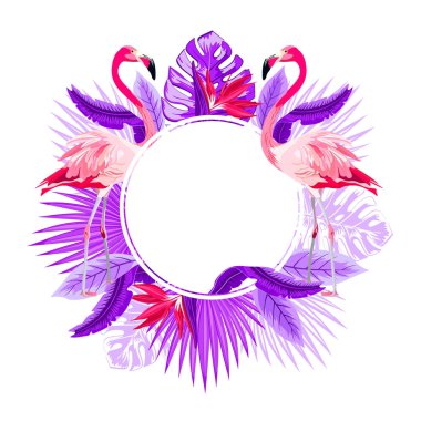 Pembe flamingo ve palmiye yaprakları, egzotik çiçekler kare yuvarlak. Tropikal tebrik kartı. Beyaz arka plan üzerinde izole güzel çiçek egzotik vektör çerçeve